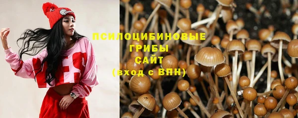 гашик Протвино