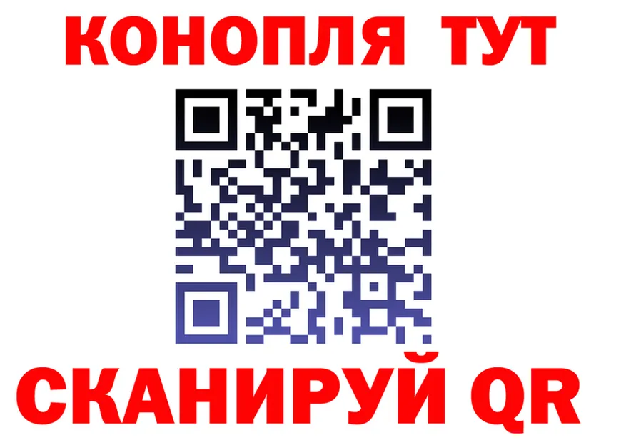 ГАШИШ Изолятор вход площадка МЕГА Козловка